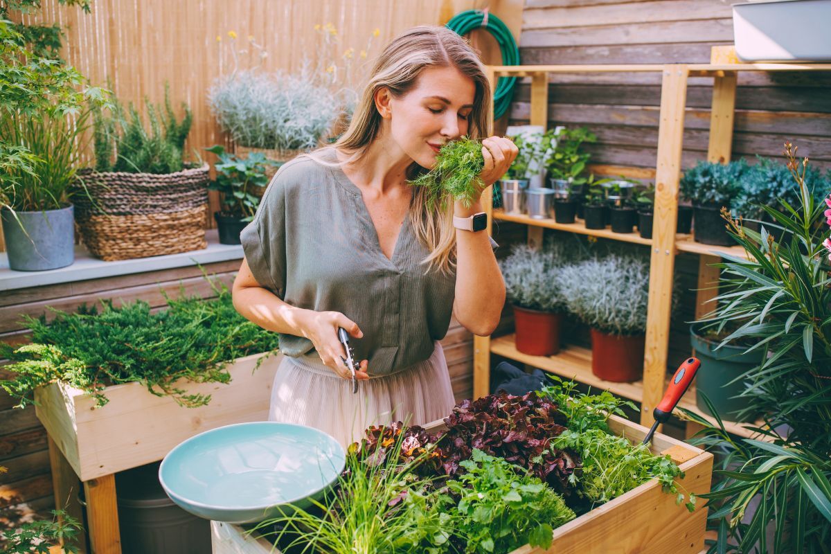DIY garden projects to try this weekend